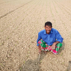 রাজস্ব খাত এর ভুট্টা প্রর্দশনী